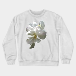 Apple Blossom Crewneck Sweatshirt